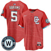 Men's Washington Nationals 2025 City Connect Limited Jersey - All Stitched
