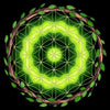 Ayahuasca Sacred Geometry T-Shirt