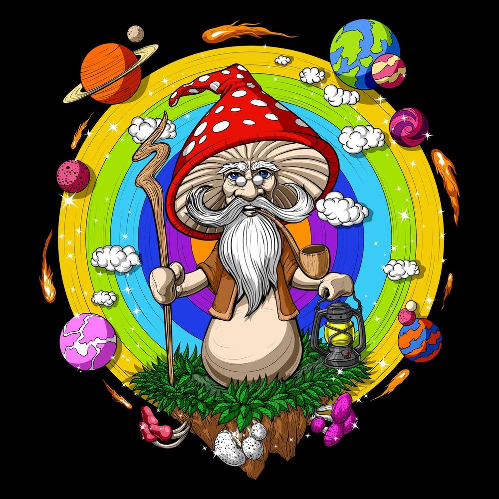 Mushroom Wizard T-Shirt