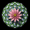 Psychedelic Peyote T-Shirt