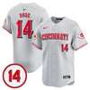 Men's Cincinnati Reds Pete Rose Patch Vapor Premier Limited Jersey - All Stitched