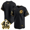 Men's Chicago Cubs 2025 Jackie Robinson Patch Vapor Premier Limited Jersey - All Stitched