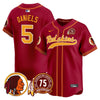 Washington Redskins 75th Patch Throwback Vapor Premier Limited Jersey - All Stitched