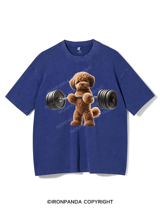 LITTLE PAWS, BIG LIFTS VINTAGE GYM SHIRT